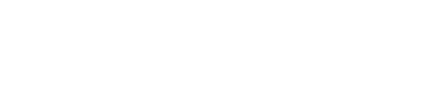 Bridengroom.lk Brand Site Logo